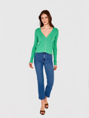 V-Neck Cardigan W/ Pointelle Stitch Detail in Spearmint