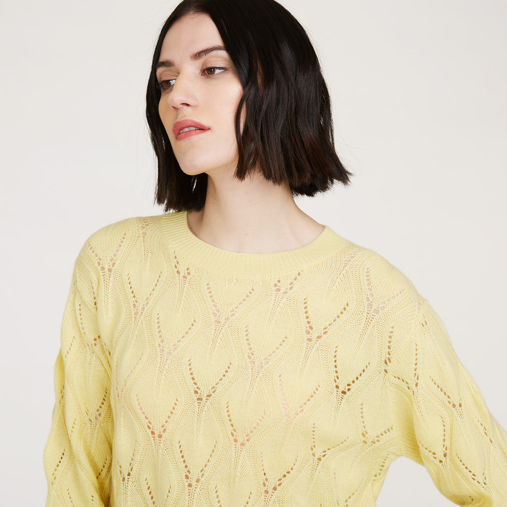 Women's  Leaf Pointelle Cropped Boxy Crew in Banana Yellow by Autumn Cashmere. 