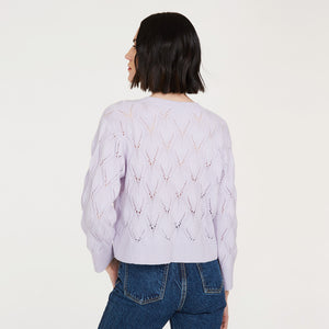 Leaf Pointelle Cropped Boxy Crew in Horizon